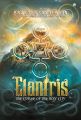 Elantris ID cover.jpg