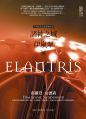 Elantris TW 2nd cover.jpg
